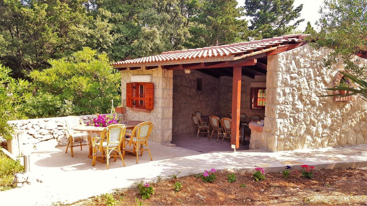 Apartments Ostrea - Ana Novalja Dış mekan fotoğraf