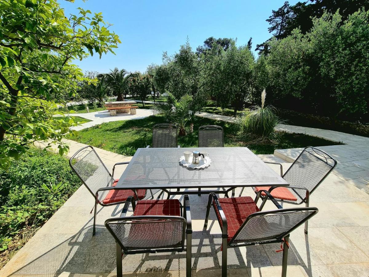 Apartments Ostrea - Ana Novalja Dış mekan fotoğraf
